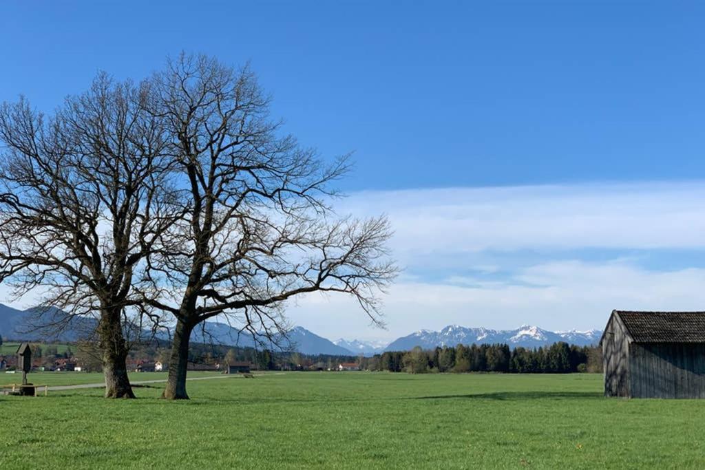 Ferienhaus Koenigsdorf - Urlaub Im Toelzer Land Konigsdorf Eksteriør bilde